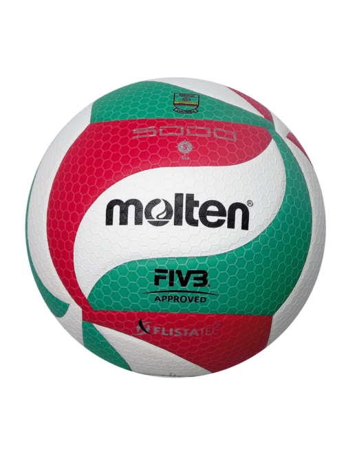Balón Volleyball Molten V5M5000