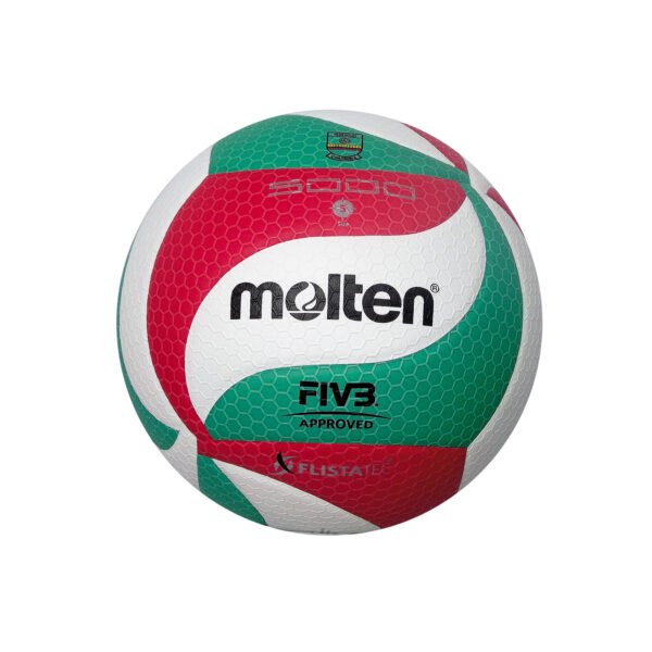 Balón Volleyball Molten V5M5000