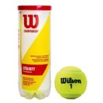 Pelota De Tenis Extra Duty X 3 Wilson
